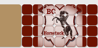 LOGO_BC_Horsetack.eu.png